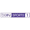 chaine bein sfr|beIN SPORTS : Sports en Direct et Replay